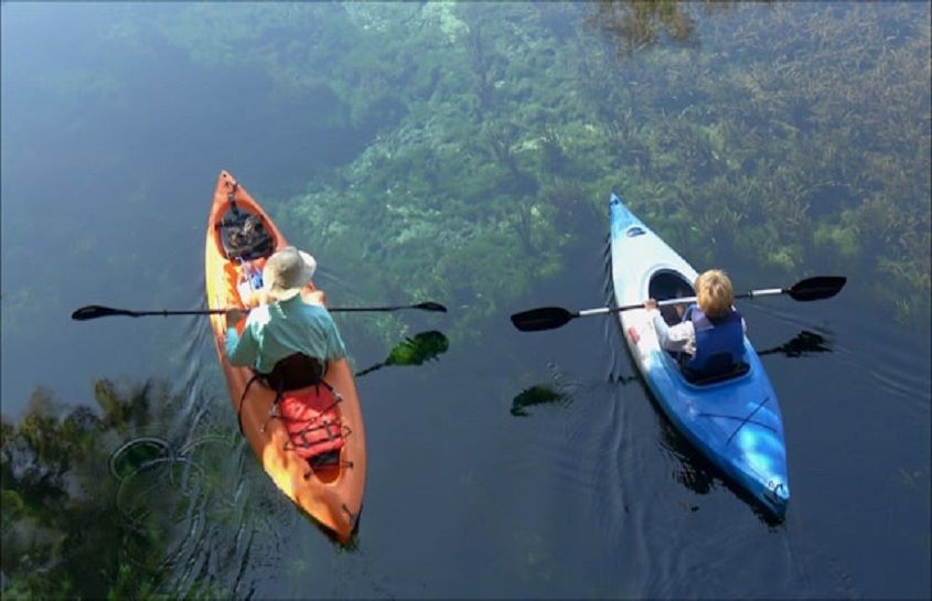 Conservancy of Southwest Florida News